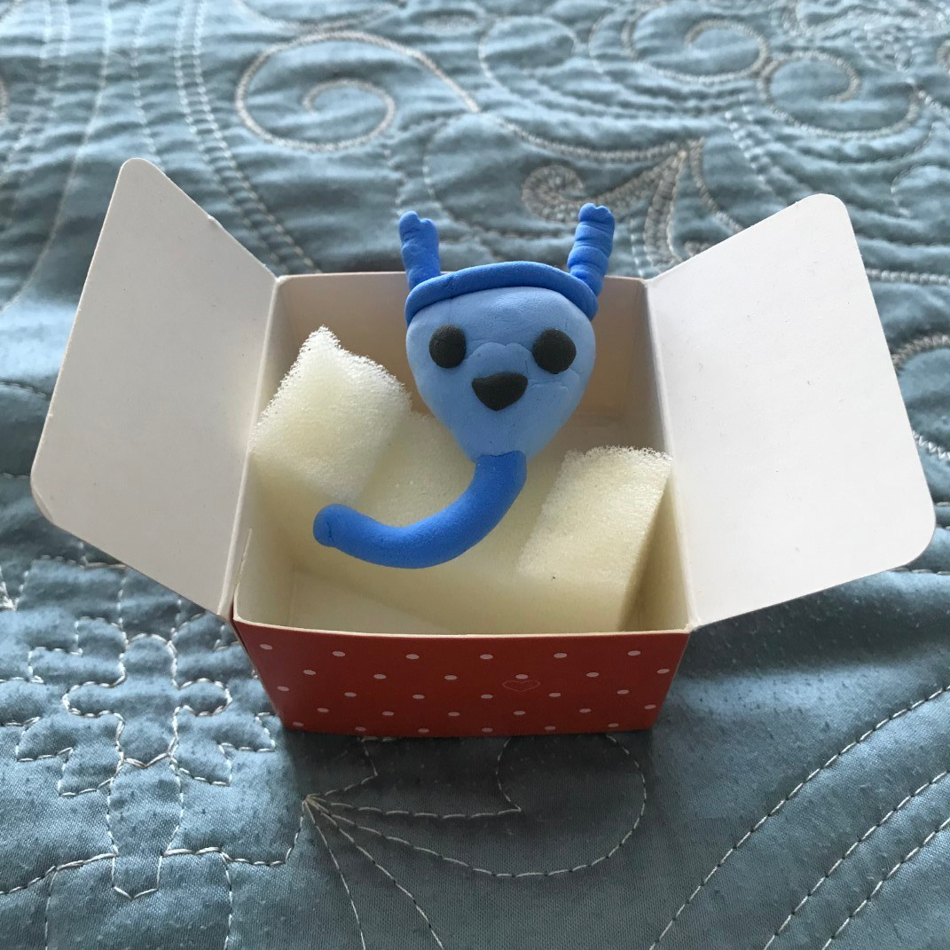 Prostate Cancer Prostatectomy