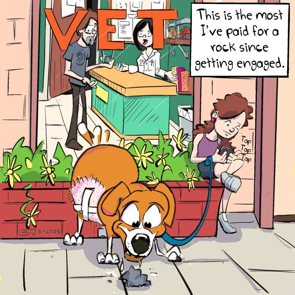 Pica, dog eating rocks